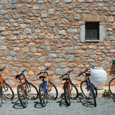 Toxotis Pírgos Dhiroú