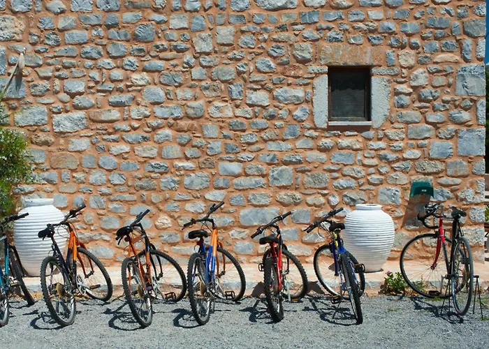 Toxotis Pírgos Dhiroú